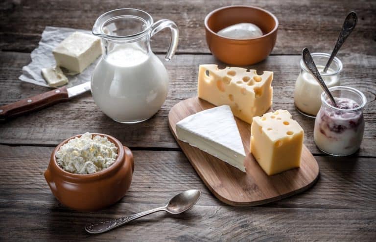 Calcium Milch Käse Milchprodukte Joghurt-instagram