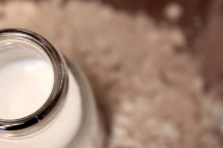 Vegan Proteins milch Vanillepulver Glas Milch Vordergrund