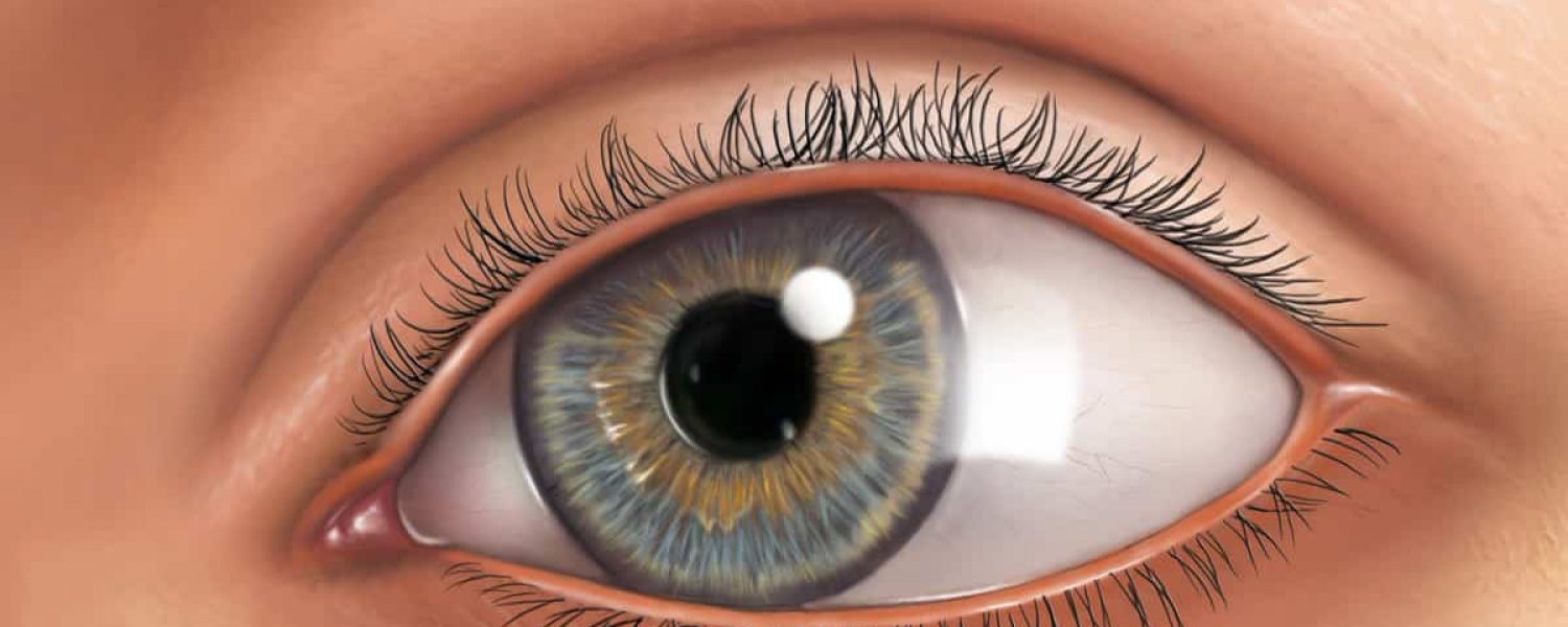 Blaues Auge gezeichnet mit Wimpern und Augenbrauen