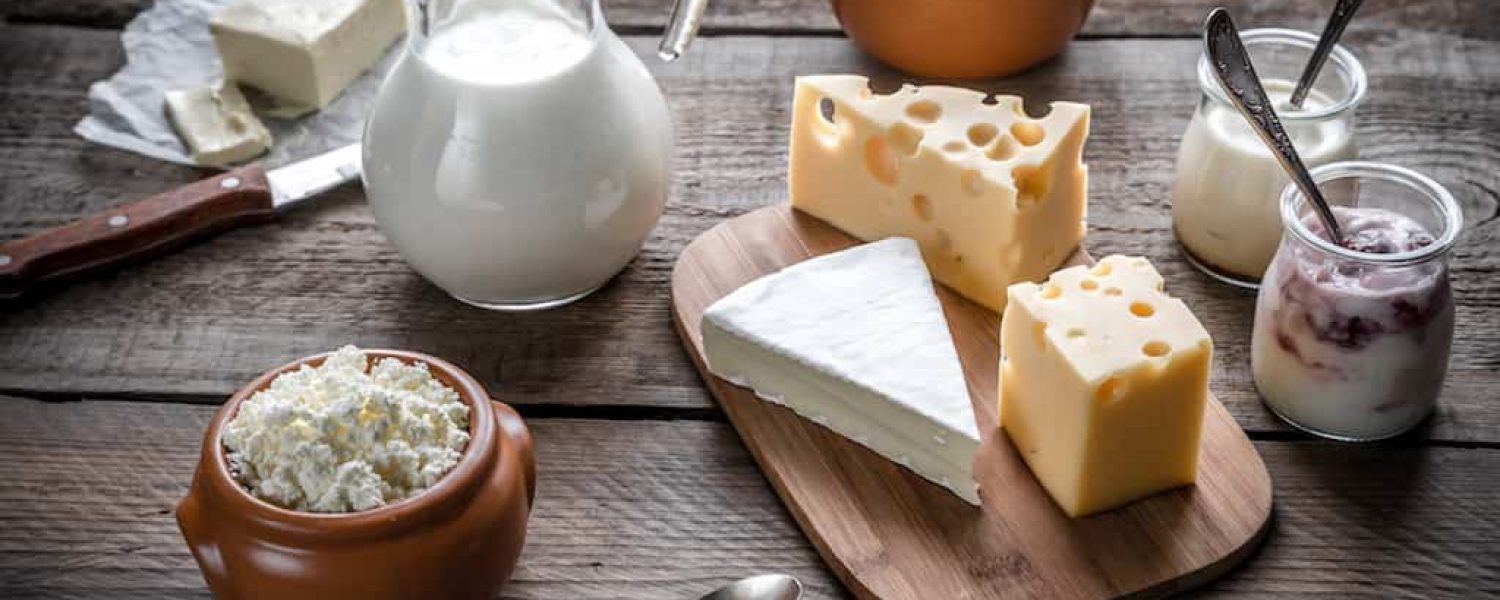 Calcium Milch Käse Milchprodukte Joghurt
