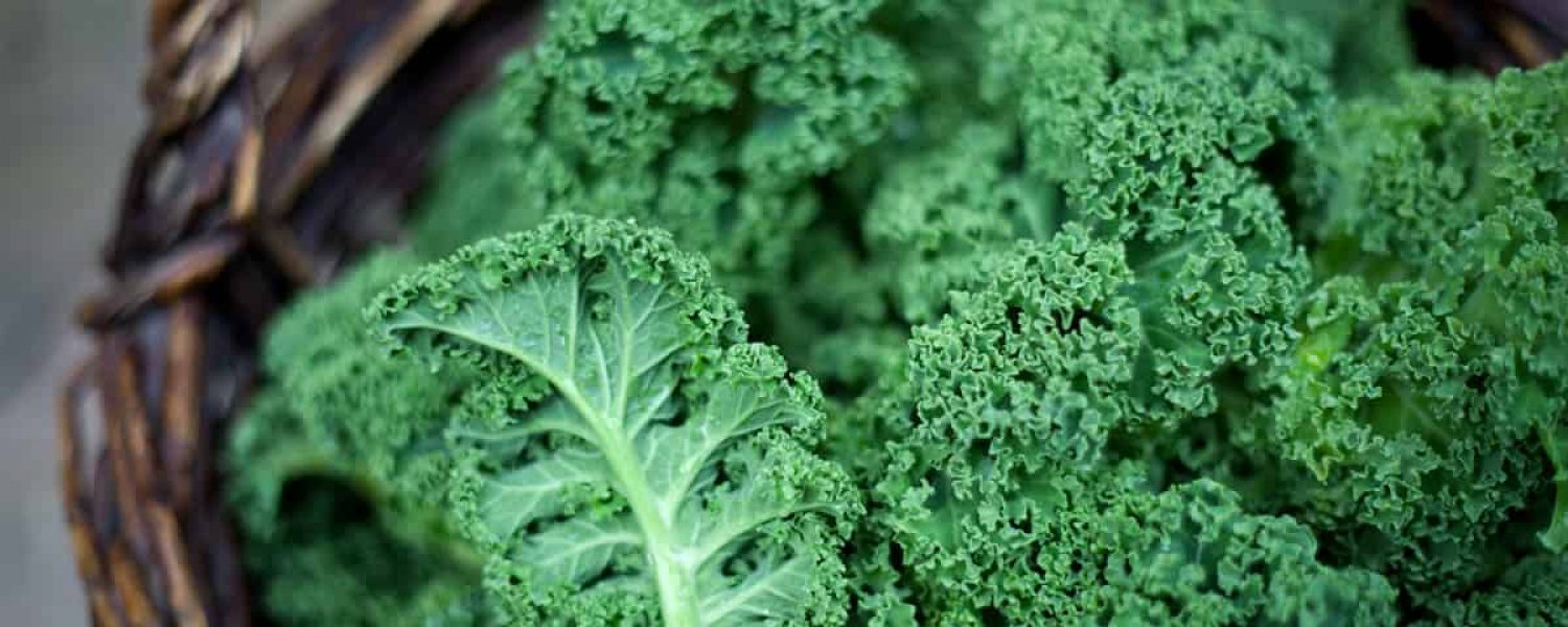 Vitamin K Gruenzeug Kohl gesund Gemüse im Korb Salat