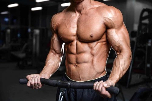 krafttraining biceps sixpack trainierter oberkoerper mann fintessstudio gym katawan